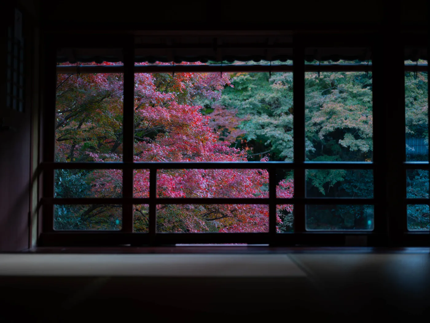 窓越しの紅葉