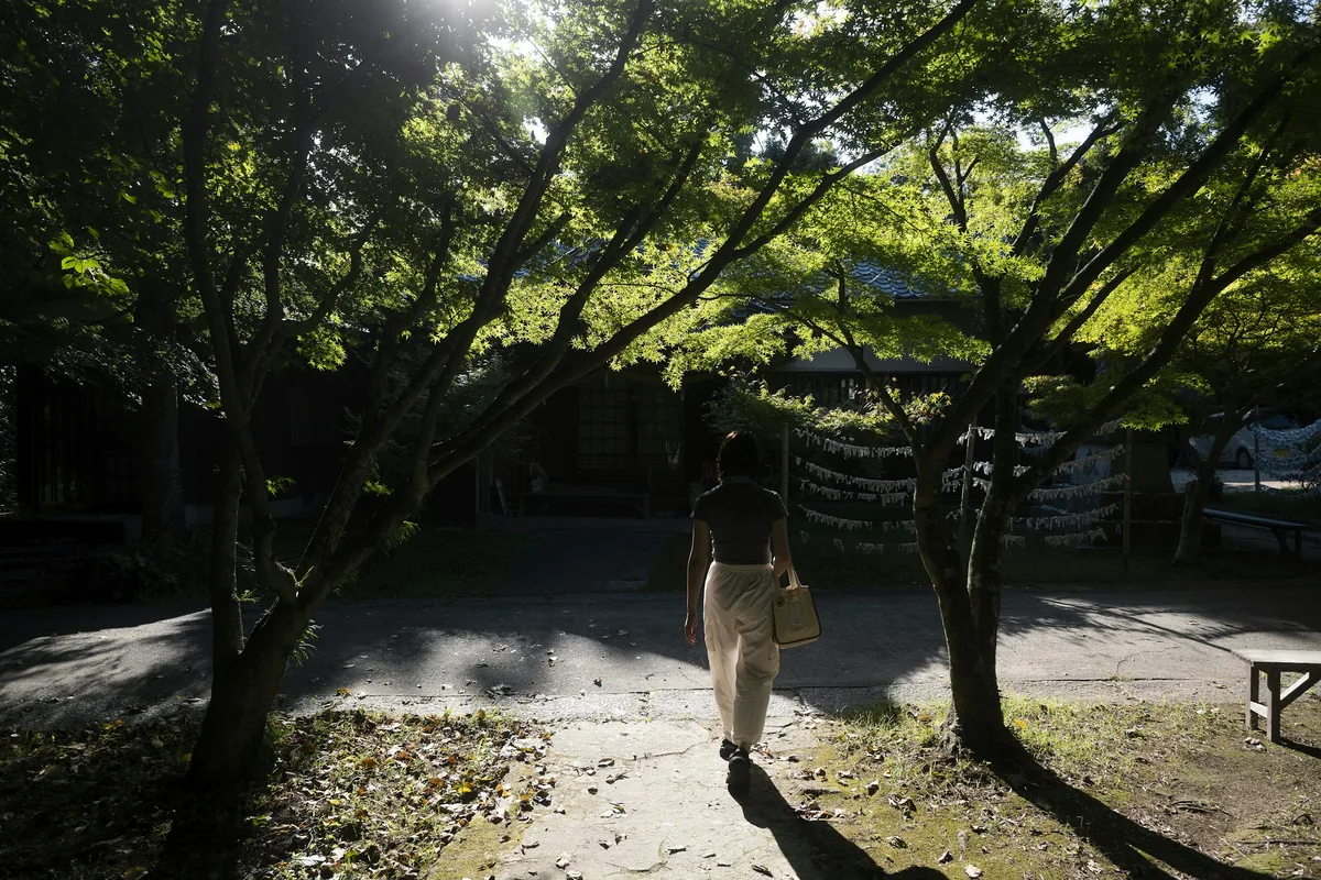 木もれ日の道を歩いていく人の後ろ姿