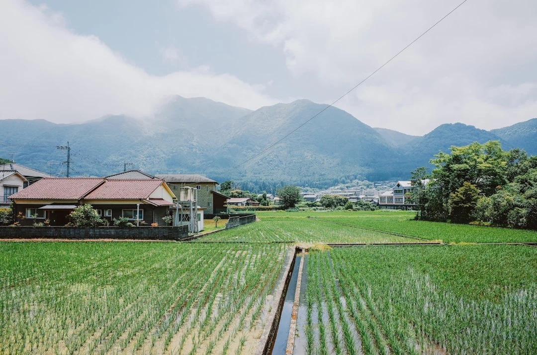 田んぼのあいだを流れる用水路