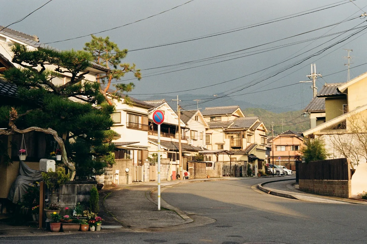 鉢植えの並ぶ近所の家並み