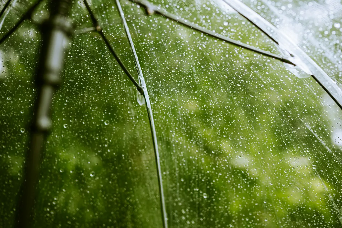 雨粒のついたビニール傘を、内側から見上げたところ