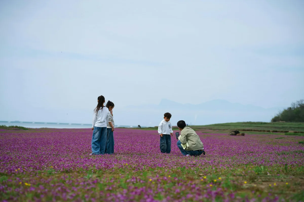 アジア系の家族4人が花畑の中で立っている後ろ姿