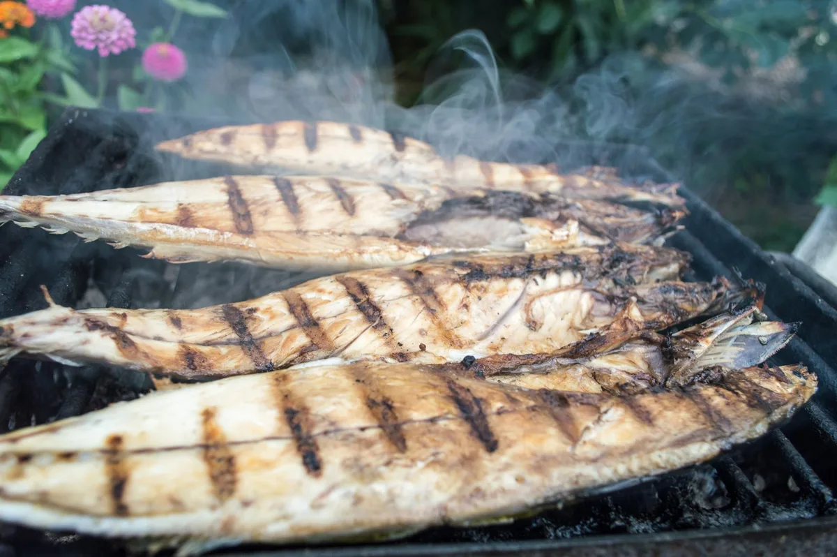 炭火で焼かれているサバ