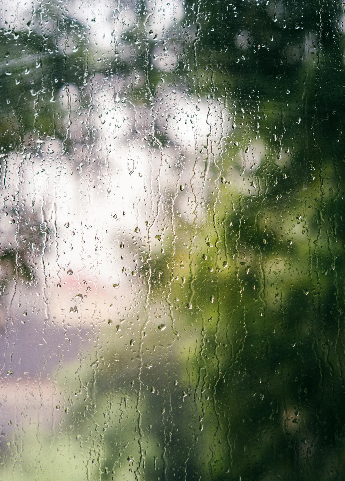 雨粒が伝う窓ガラス